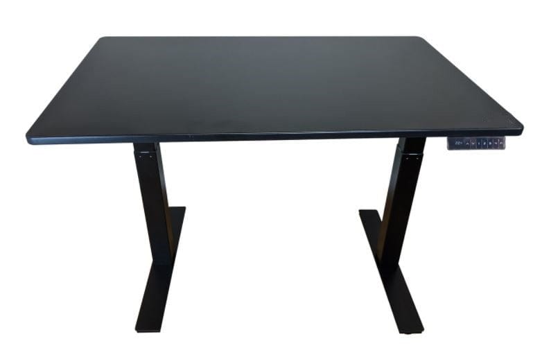 Homeroots Premier Black Dual Motor Electric Office Adjustable Standing Desk 397723
