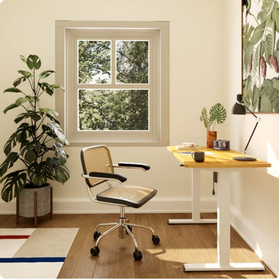 Flexispot Standard Standing Desk (E2) Bamboo