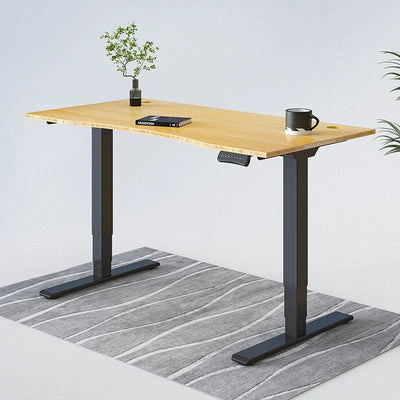 Flexispot Standard Standing Desk (E5) Bamboo