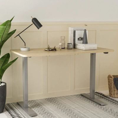 Flexispot Standard Standing Desk (E2) Chipboard Maple