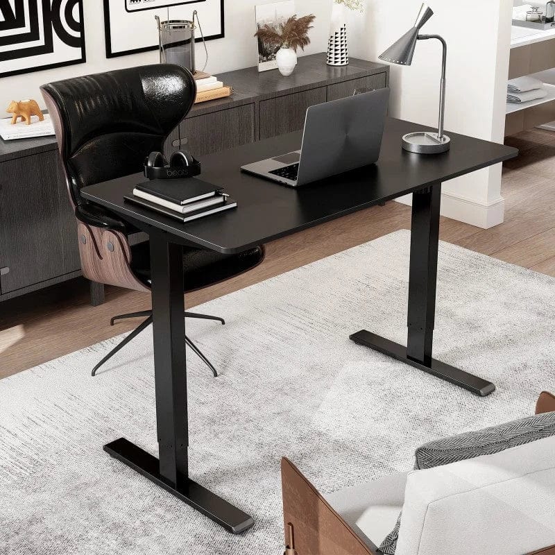 Flexispot Standard Standing Desk (E2) Chipboard  Black