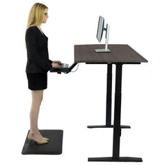 Homeroots Premier 52" Black Dual Motor Electric Office Adjustable Standing Desk 397730