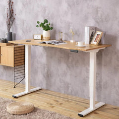 Flexispot Standard Standing Desk (E2) Bamboo