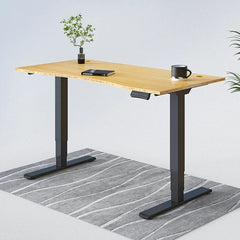 Flexispot Standard Standing Desk (E5) Bamboo