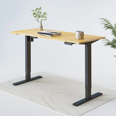 Flexispot Essential Standing Desk (E2 Pro) Bamboo (Rectangular)